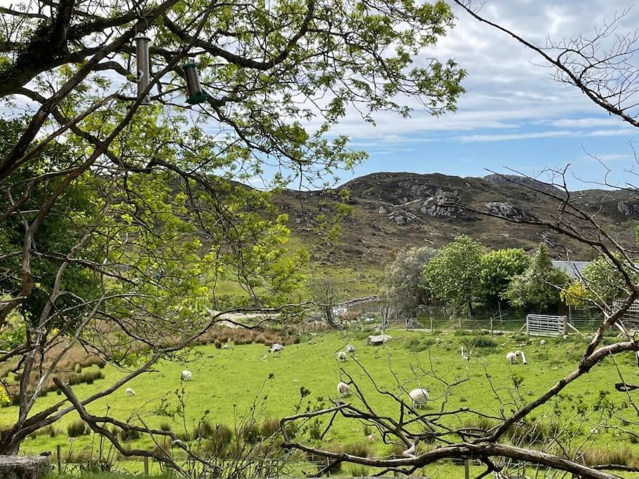 Beautiful Cottage In A Wonderful Highland Setting Drumbeg Kültér fotó